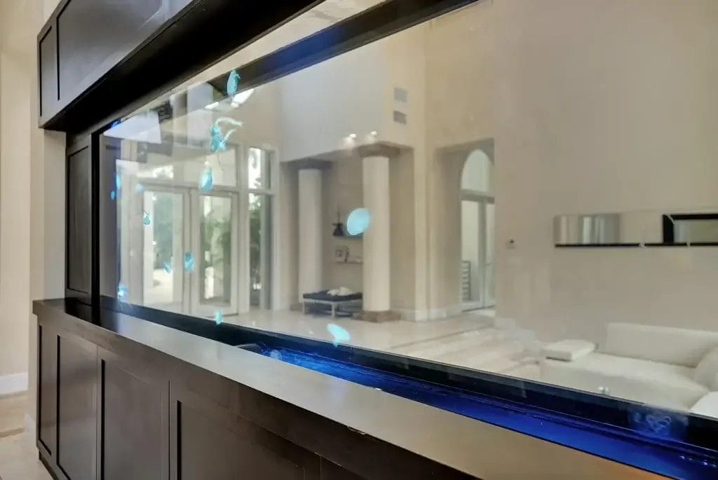600-gallon jellyfish tank